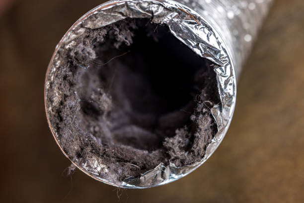 Best Air Duct Cleaning Near Me  in Pinehurst, MA